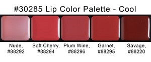 Graftobian - HD Lip Color Palette - Cool Shades