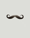 Atelier Bassi Moustache M11