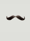 Atelier Bassi Moustache M7