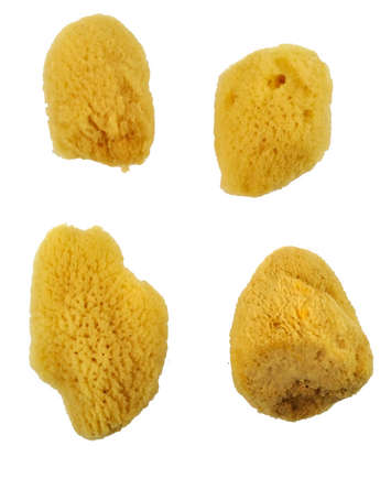 Royal & Langnickel - Medium Sea Sponge pack (R2111)